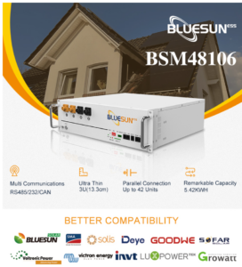 bsm48106 batterie